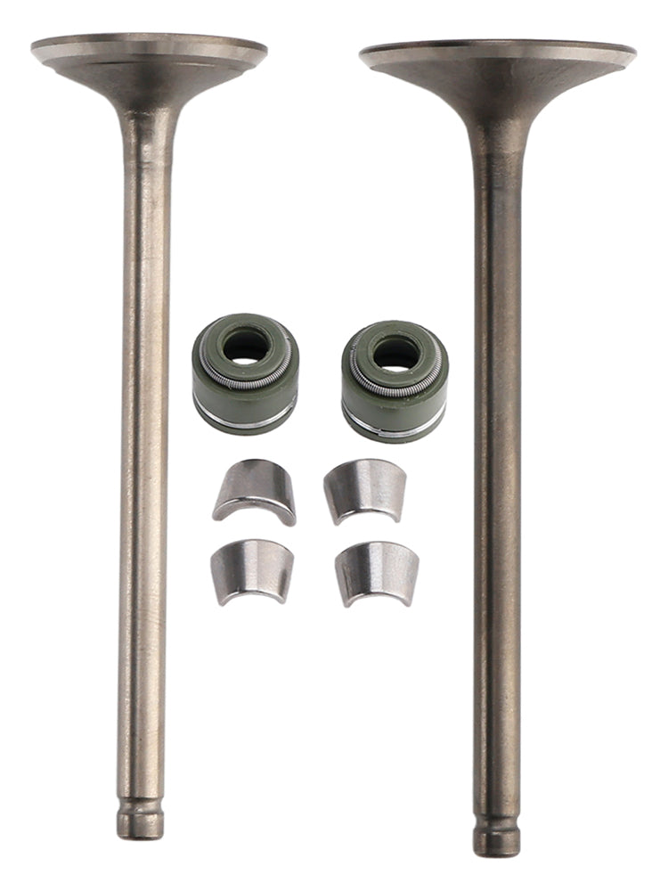 Honda CLONE MOTORS CG 200cc ATV Quad Buggies Intake Exhaust Valve Kit