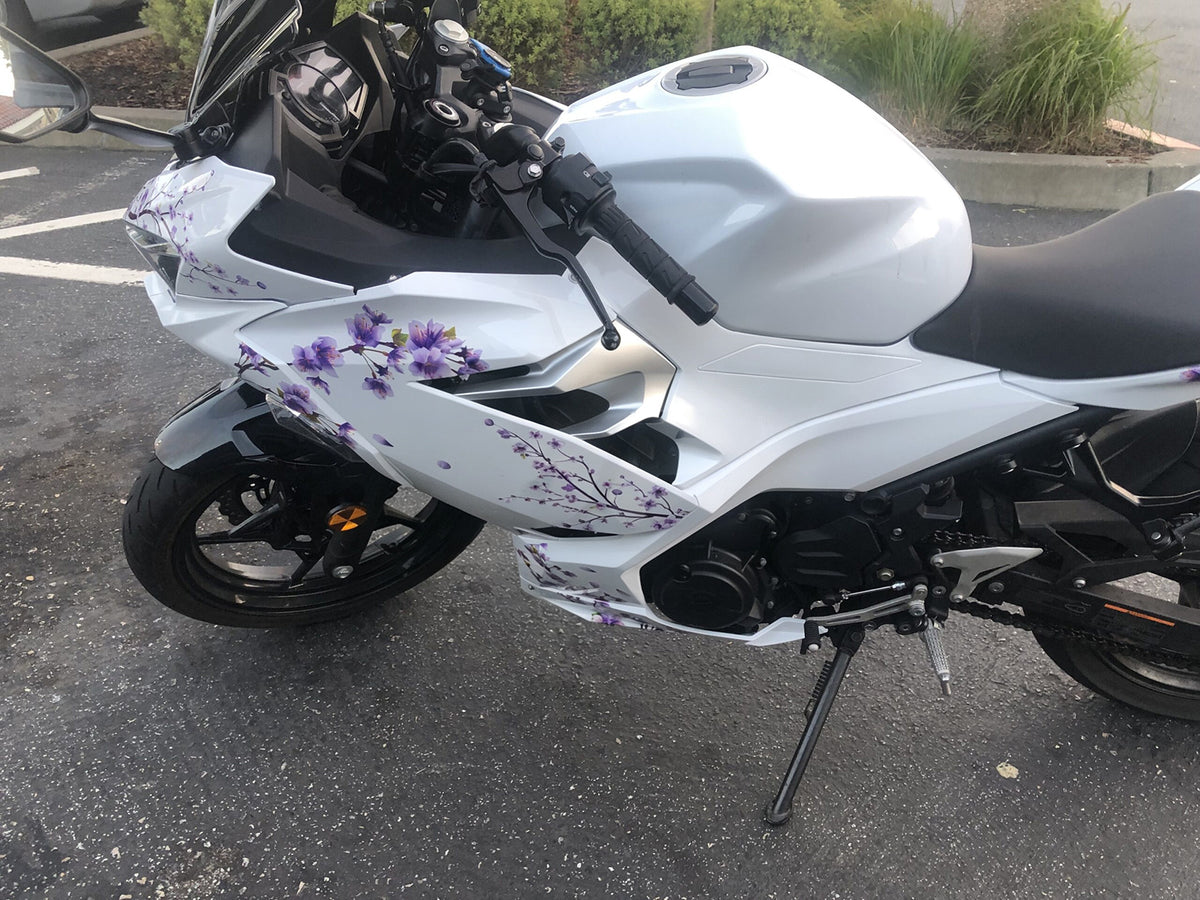 Amotopart 2018-2024 Kawasaki EX400 Ninja400 wit-paarse kuipset