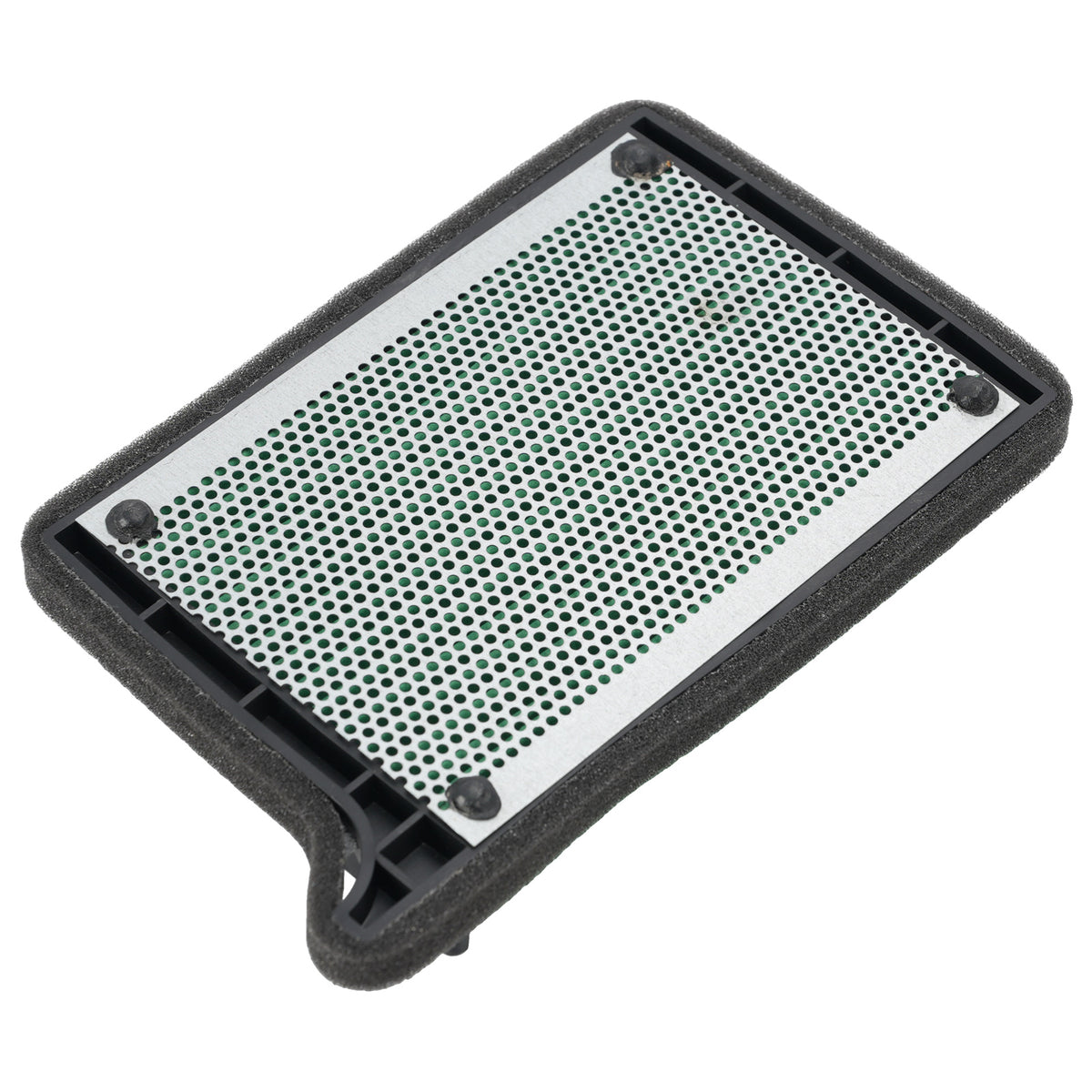 2025 Street Triple 765 RS Air Filter Element