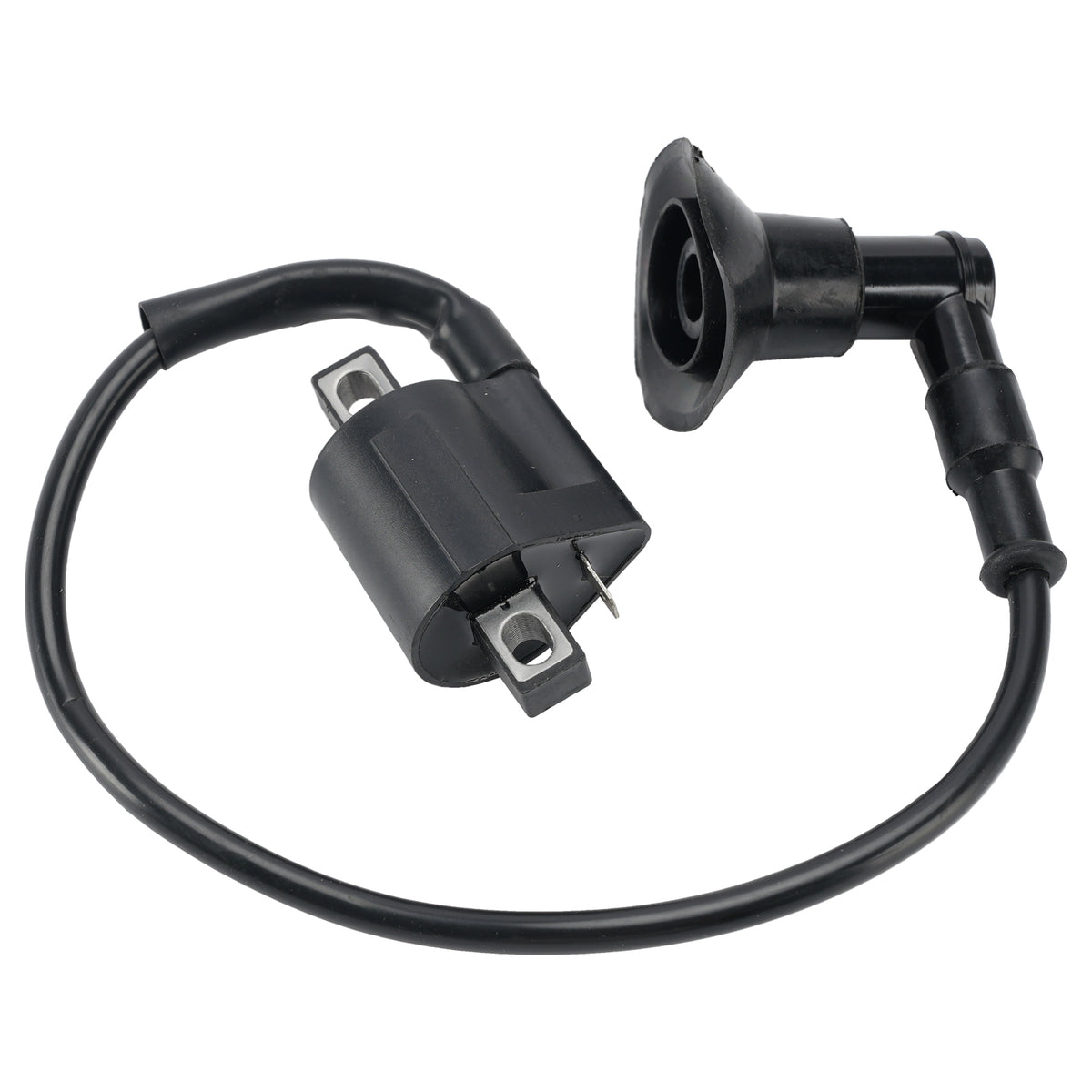 02-06 Can Am Mini DS 50 90 2-Stroke Stator Regulator CDI Box Ignition Coil