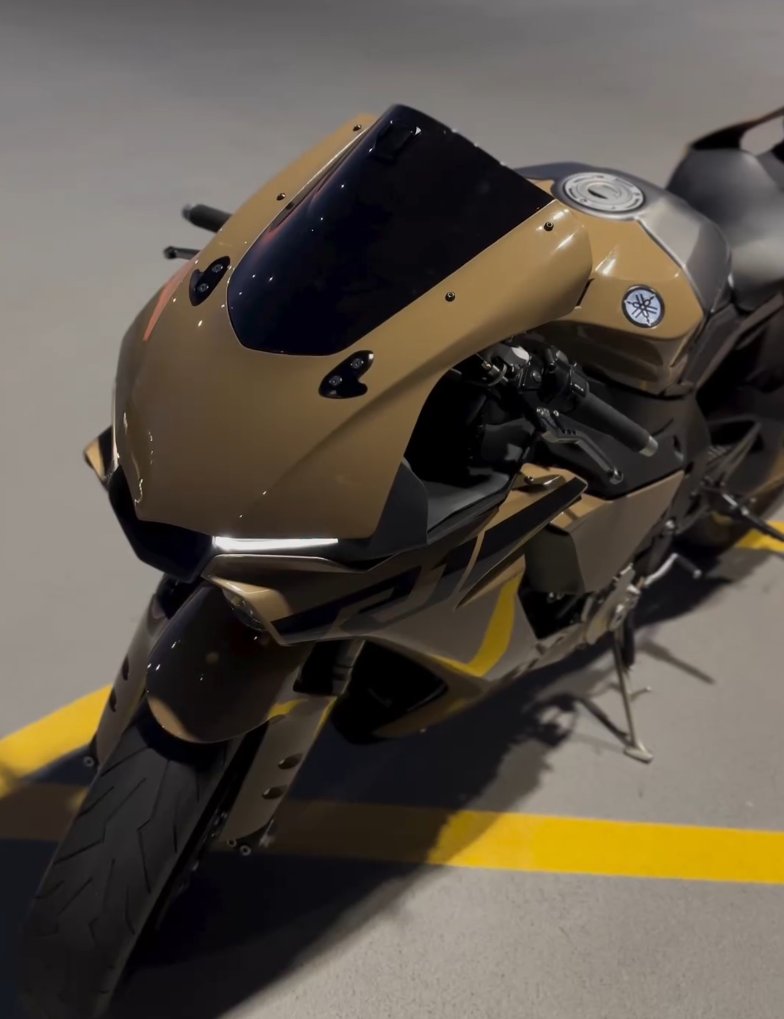 Amotopart 2015-2019 Yamaha YZF 1000 R1 Hell Brown Abzugskit