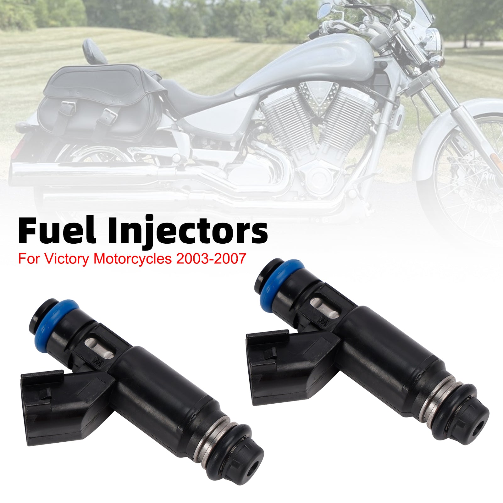 2003–2007 Victory Motorcycles 2PC Einspritzdüsen 1253405 0280156140
