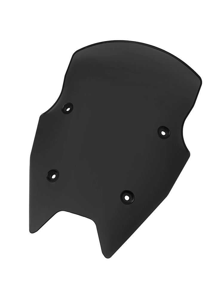 BMW R1200R 2015-2018 R1250RS 2019-2024 vindrutan vindruta