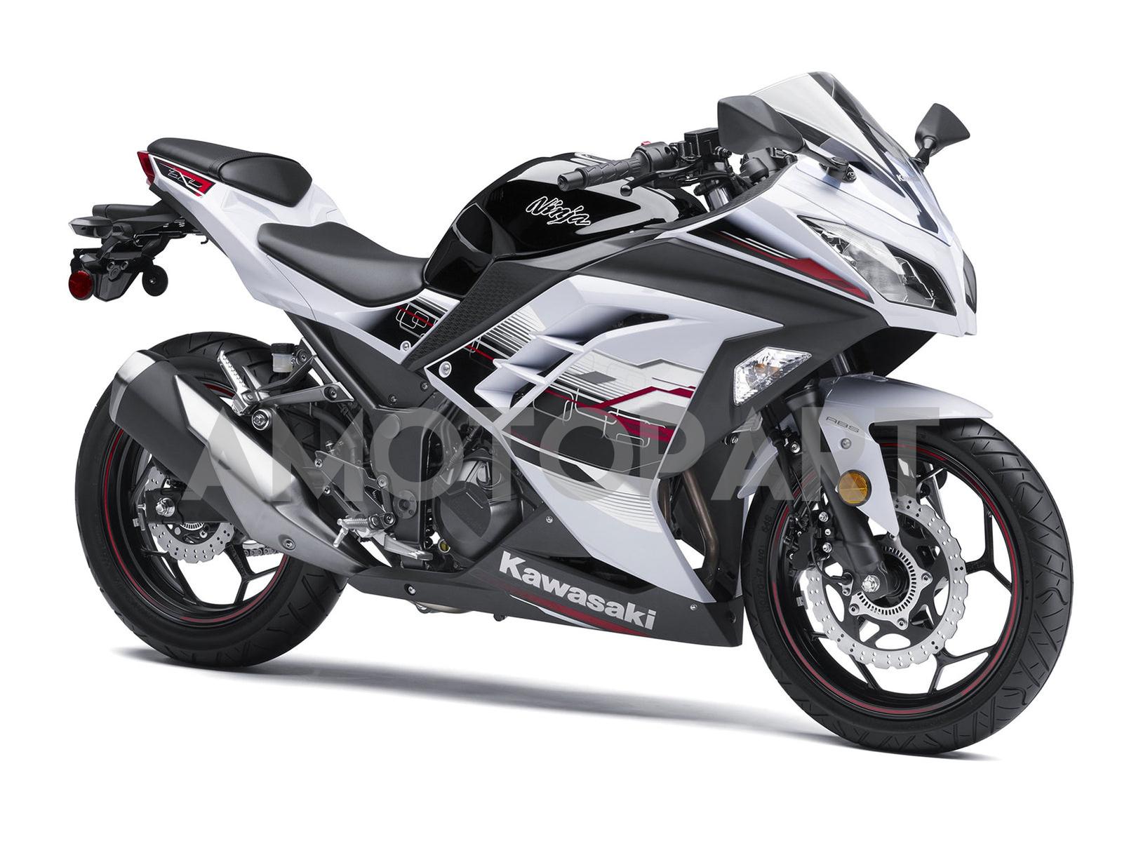 Amotopart 2013-2024 Kawasaki EX300R Fairing White&Black Kit