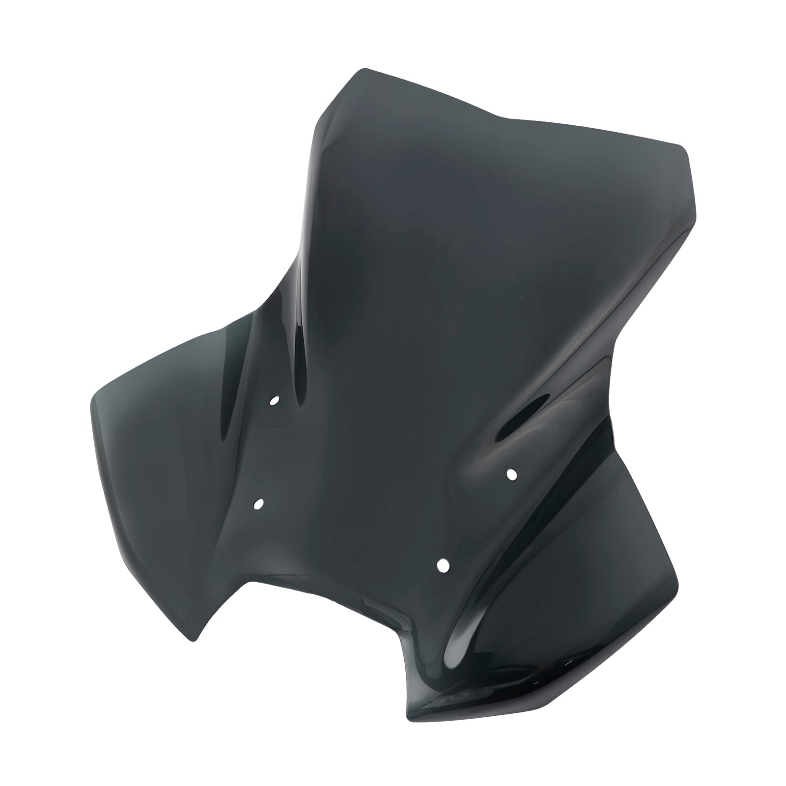 2024 BMW R1300GS forrude forrude