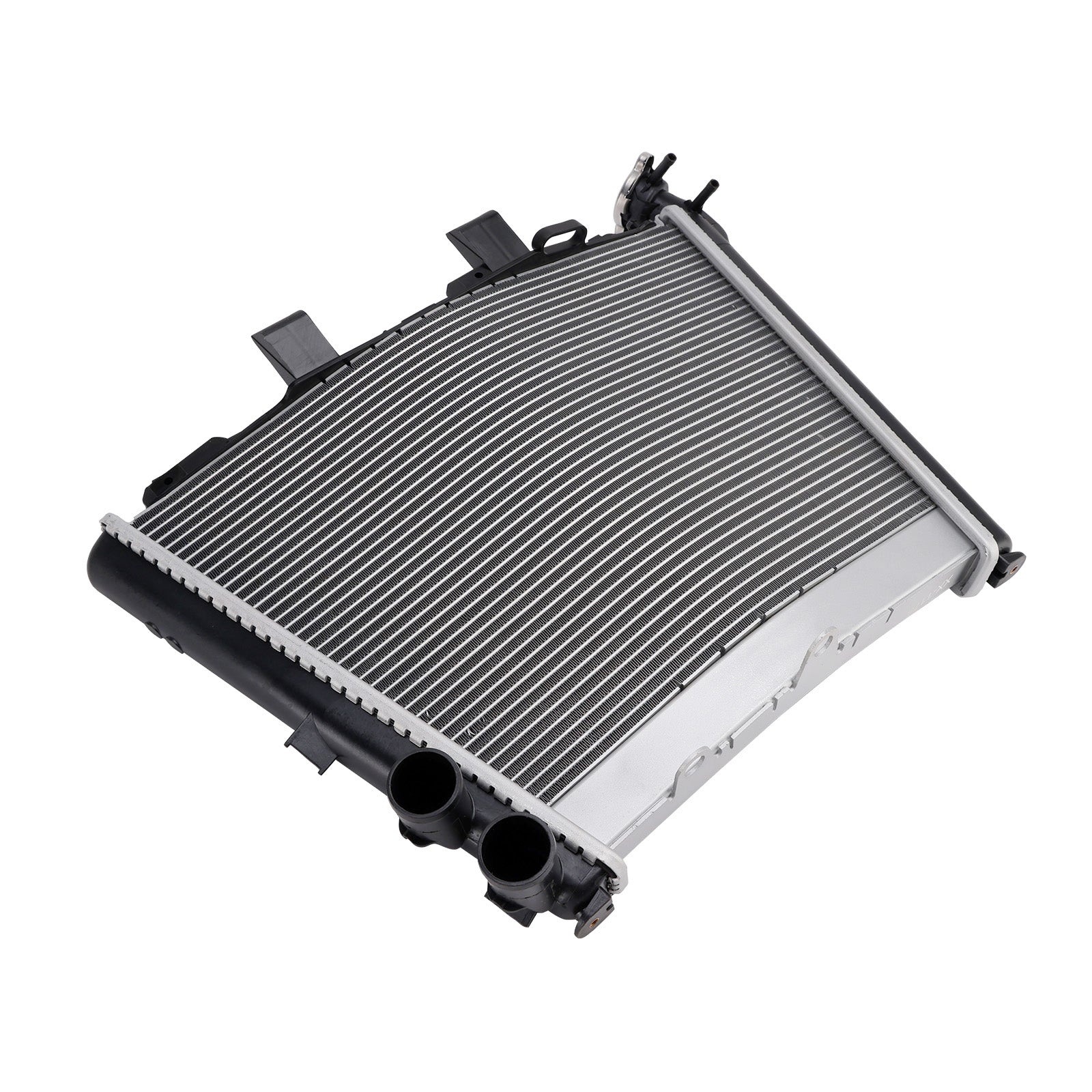 2019-2025 BMW S1000R M1000RR S1000RRNRadiator Cooling Engine Cooler