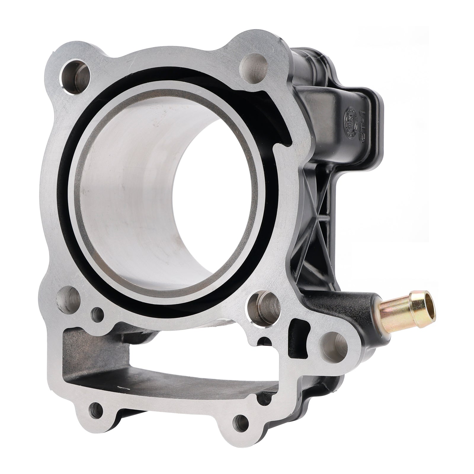 12-23 Bajaj Pulsar NS200 RS200 AS200 77mm Cylinder Piston Gasket 250cc Kit