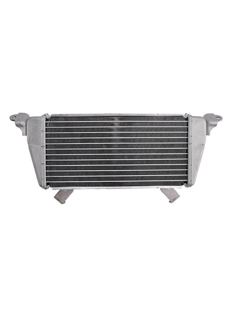 BMW S1000R M1000RR 21-25 S1000RR 19-25 Radiator Cooler Cooling