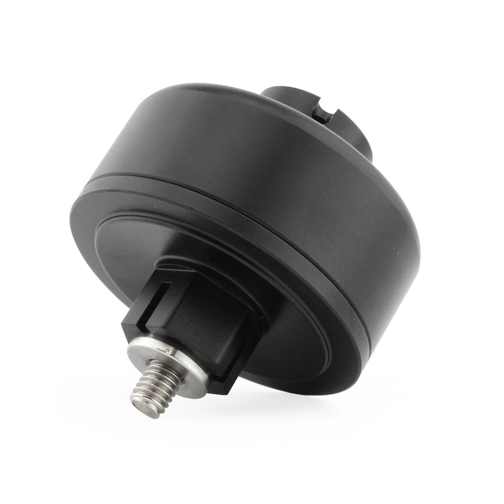 Tiger Explorer 1200 Trophy 1200 2013-2018 Swingarm Protectors