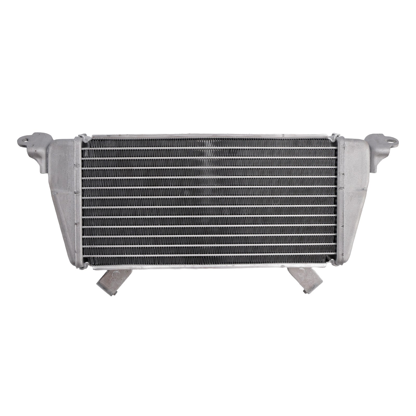 BMW S1000R M1000RR 21-25 S1000RR 19-25 Radiator Cooler Cooling