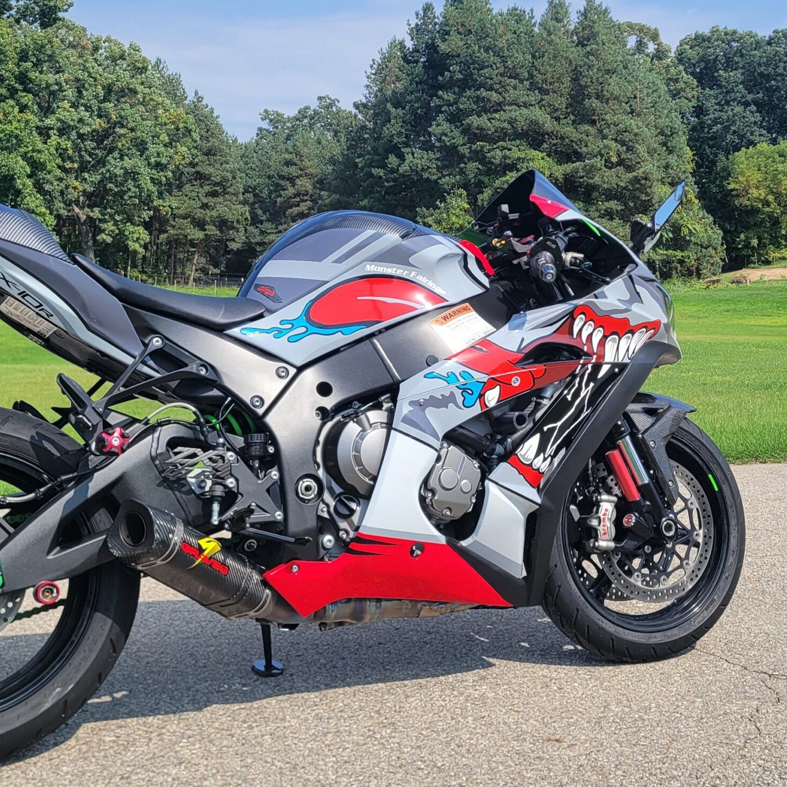 Amotopart 2016-2020 Kawasaki ZX10R Red Green Silver Carbon Fiber Pattern Fairing Kit