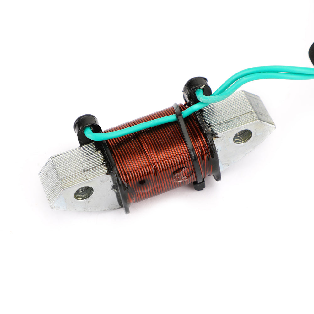 Generatorbeleuchtungsspule für Yamaha Außenbord 40-50 PS 1989-1994 6H5-85533-01-00