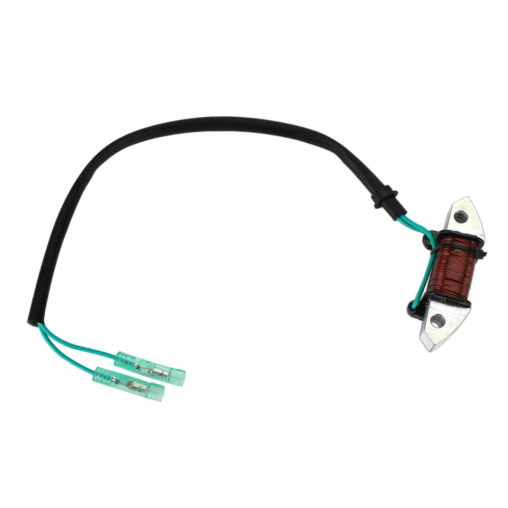 93-97 Yamaha C30 Lighting Coil Assy Außenbord 61N-81313-09-00 Generic