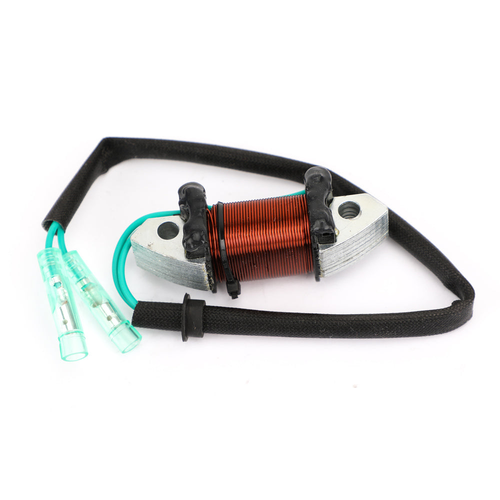 Generatorbeleuchtungsspule für Yamaha Außenbord 40-50 PS 1989-1994 6H5-85533-01-00