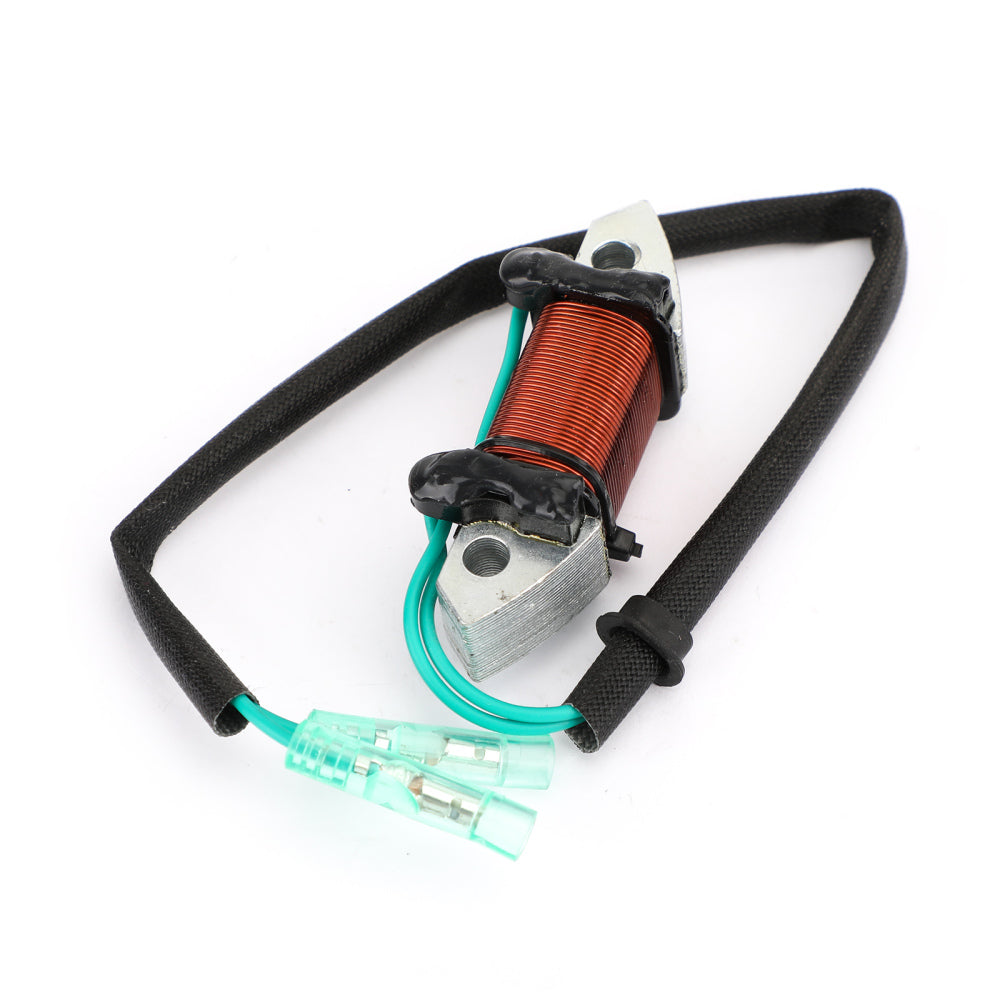 Generatorbeleuchtungsspule für Yamaha Außenbord 40-50 PS 1989-1994 6H5-85533-01-00