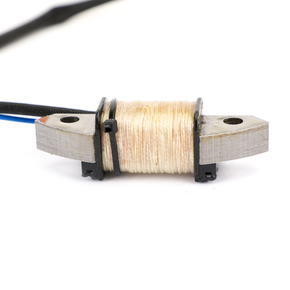 Zündladungsspule für Yamaha Außenbord 40-50 PS 1989-2017 63d-85520-00 63d-85520-00 63d-85520-01