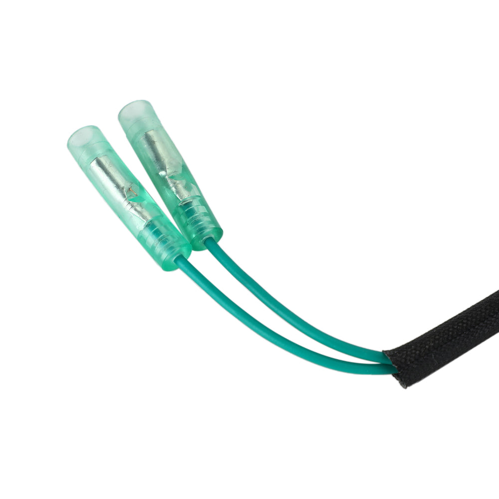 93-97 Yamaha C30 Lighting Coil Assy Außenbord 61N-81313-09-00 Generic