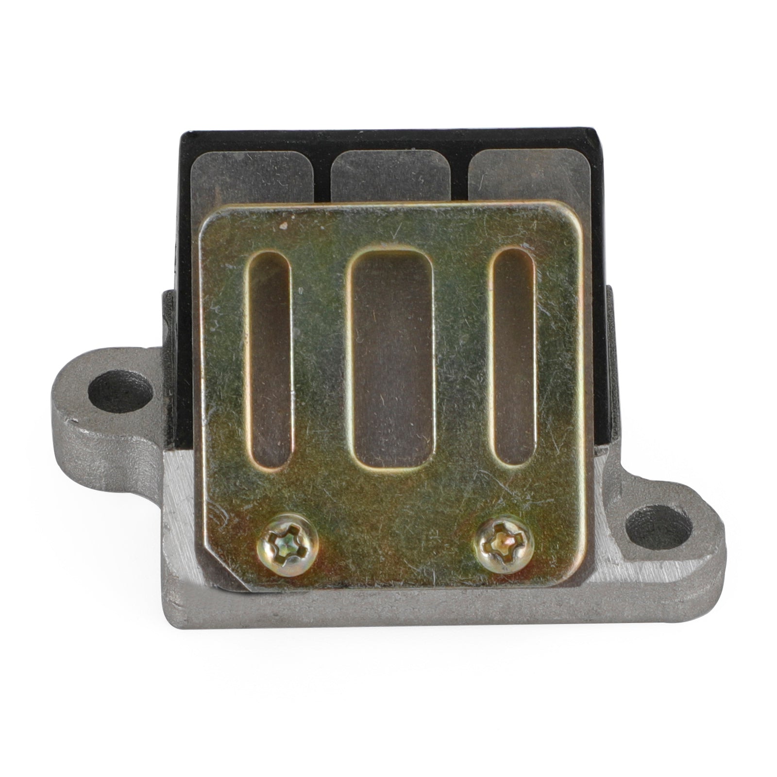 Valvola lamellare Per motore Suzuki AG100 V100 Generico