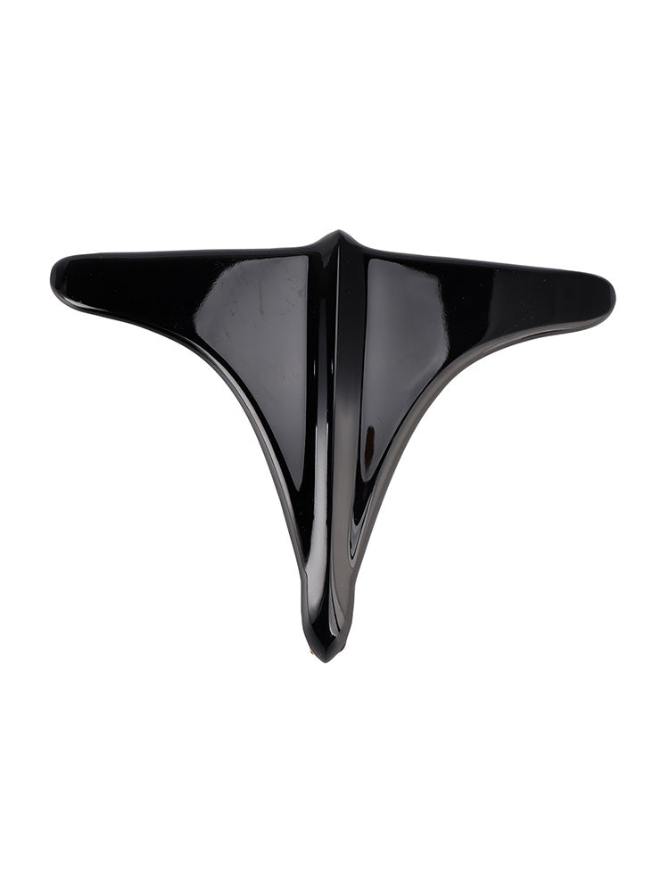 2009-2023 Street Tri Glide ABS Acentos de guardabarros trasero Borde del borde delantero