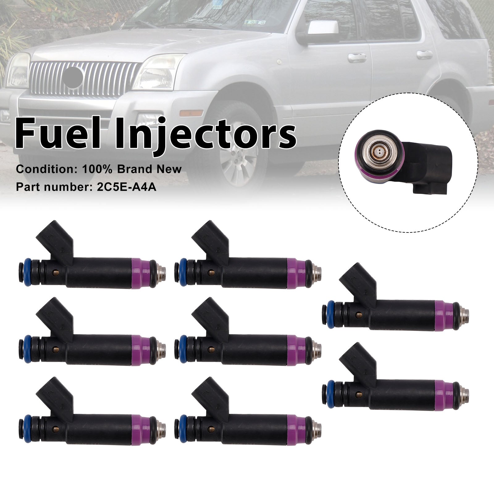 2003-2010 Mercury Ford 4.6L V8 8PC 2C5E-A4A Inyectores de combustible