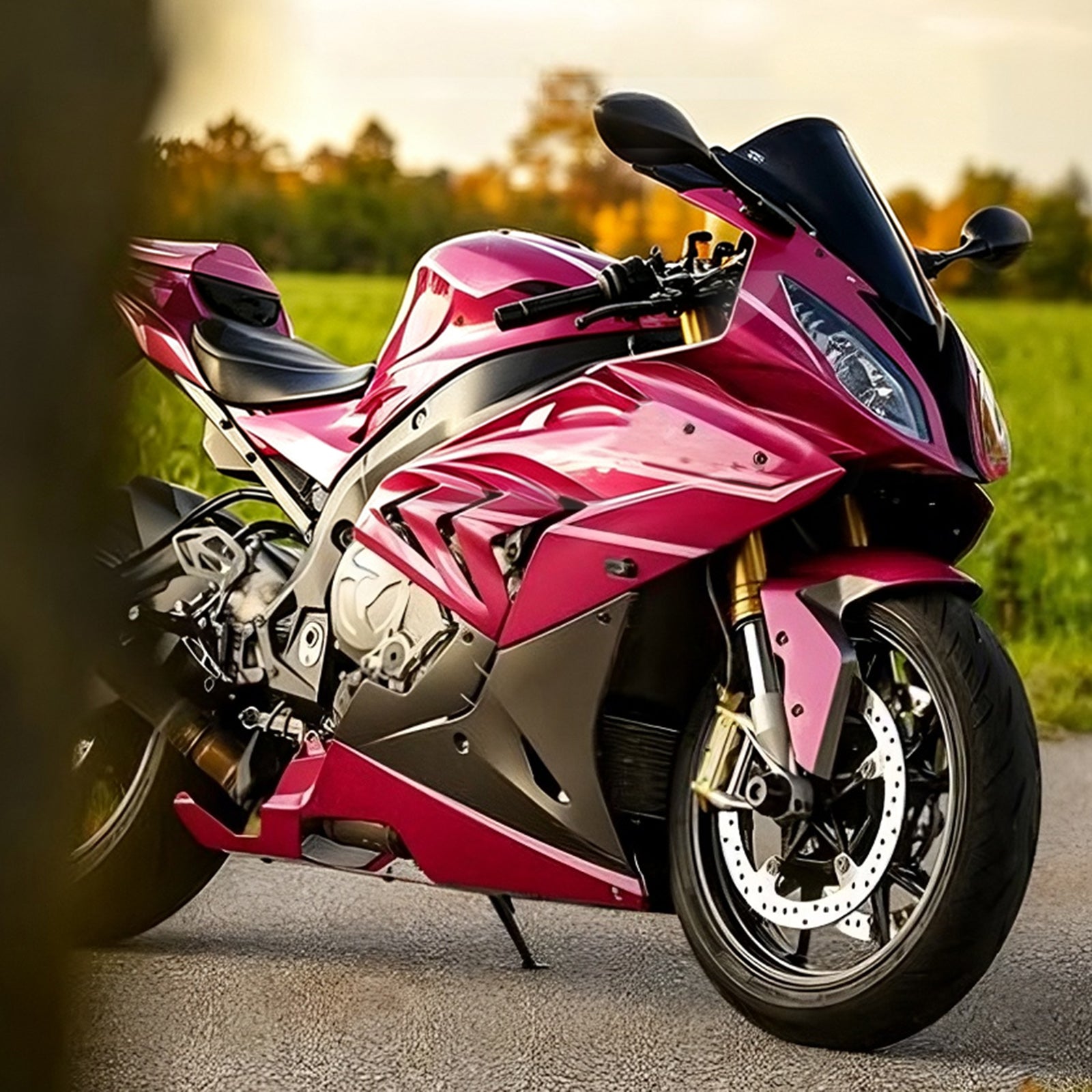 Amotopart 2015-2016 BMW S1000RR White Pink Fairing Kit