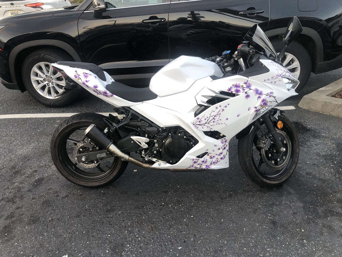 Amotopart 2018-2024 Kawasaki EX400 Ninja400 wit-paarse kuipset