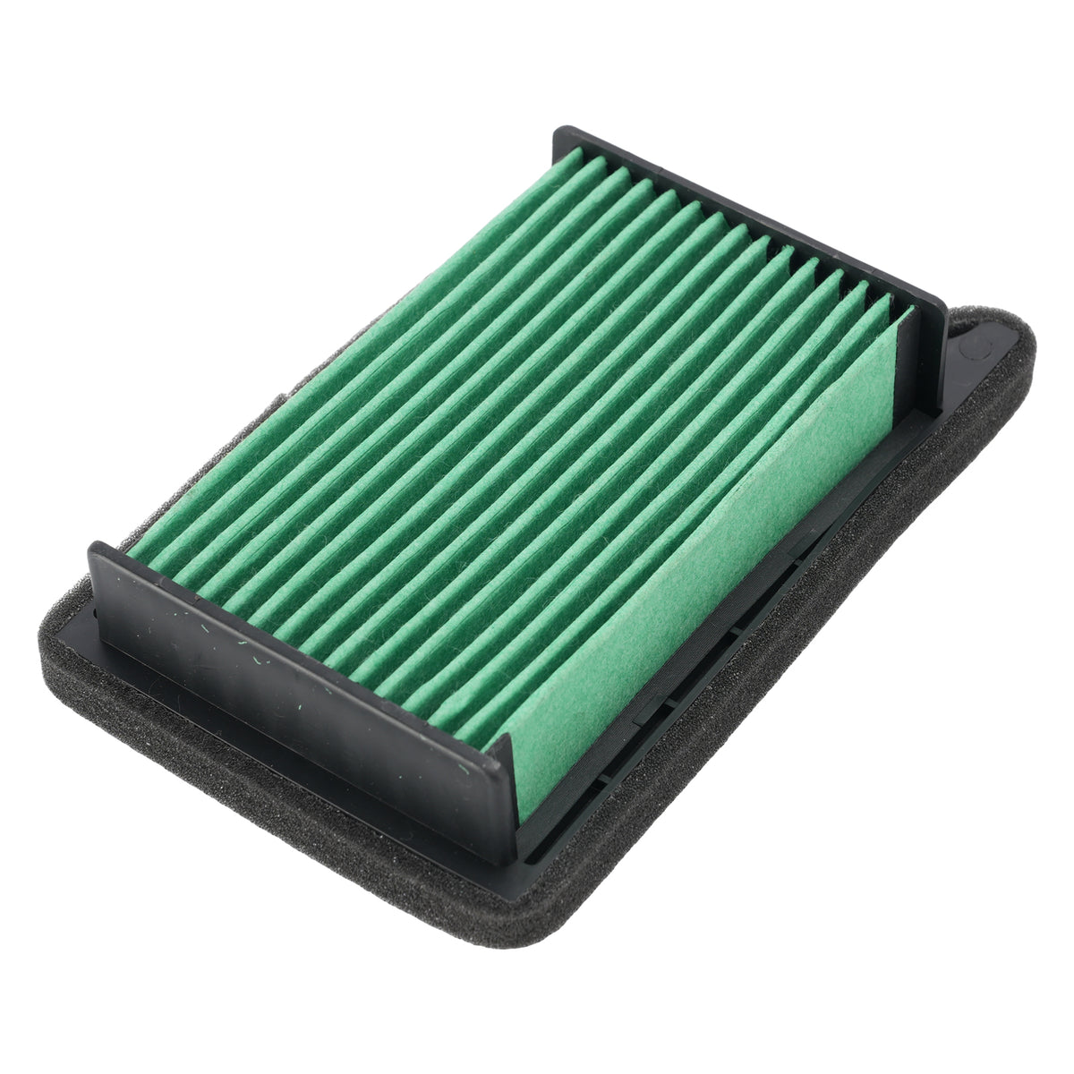 2025 Street Triple 765 RS Air Filter Element