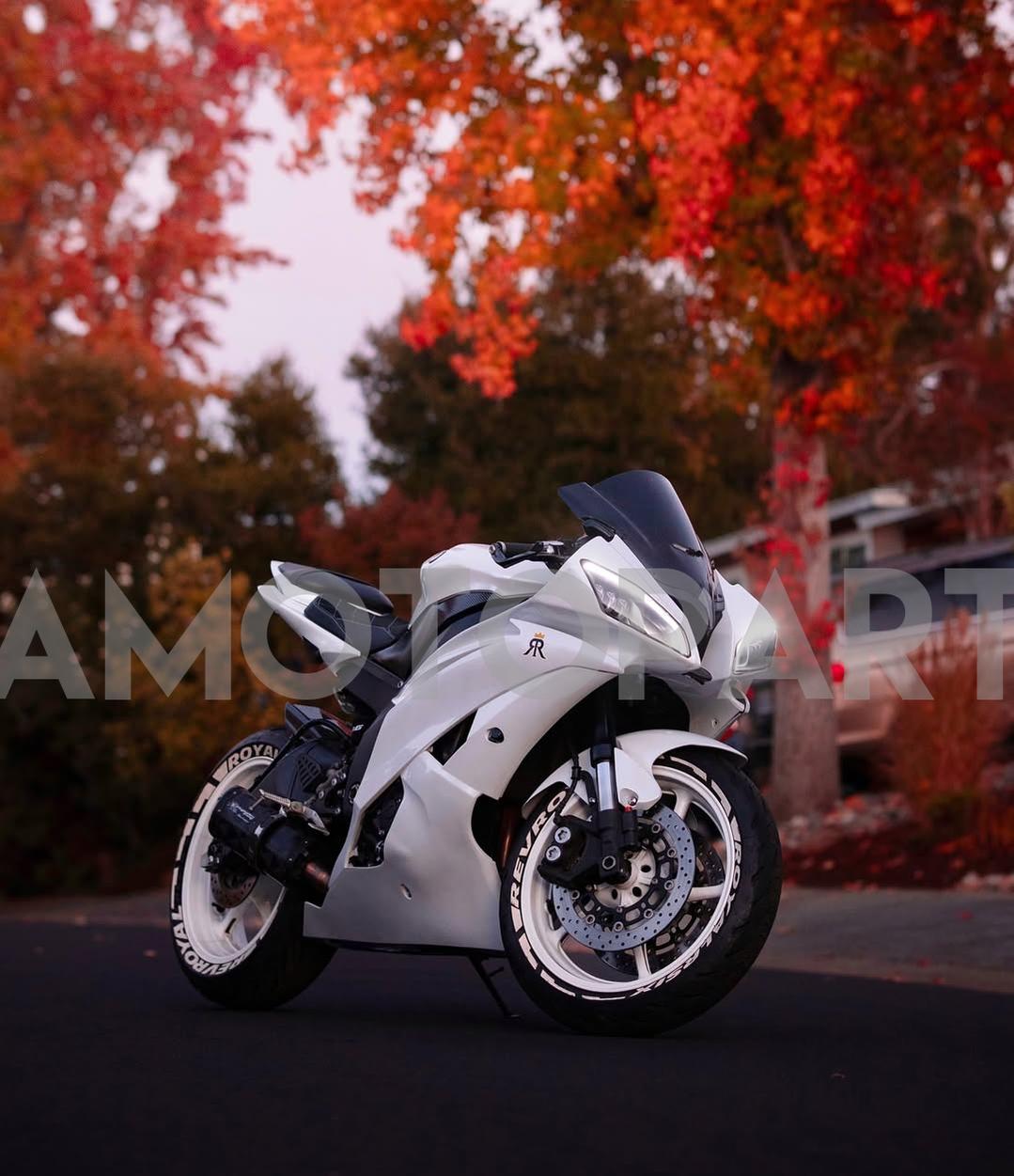 Amotopart 2008-2016 Yamaha YZF 600 R6 Pearl White Fairing Kit