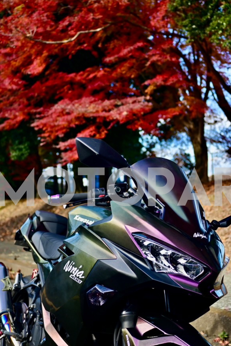 Amotopart  Kawasaki EX400/Ninja400 2018-2024 Gradient Purple & Green Fairing Kit