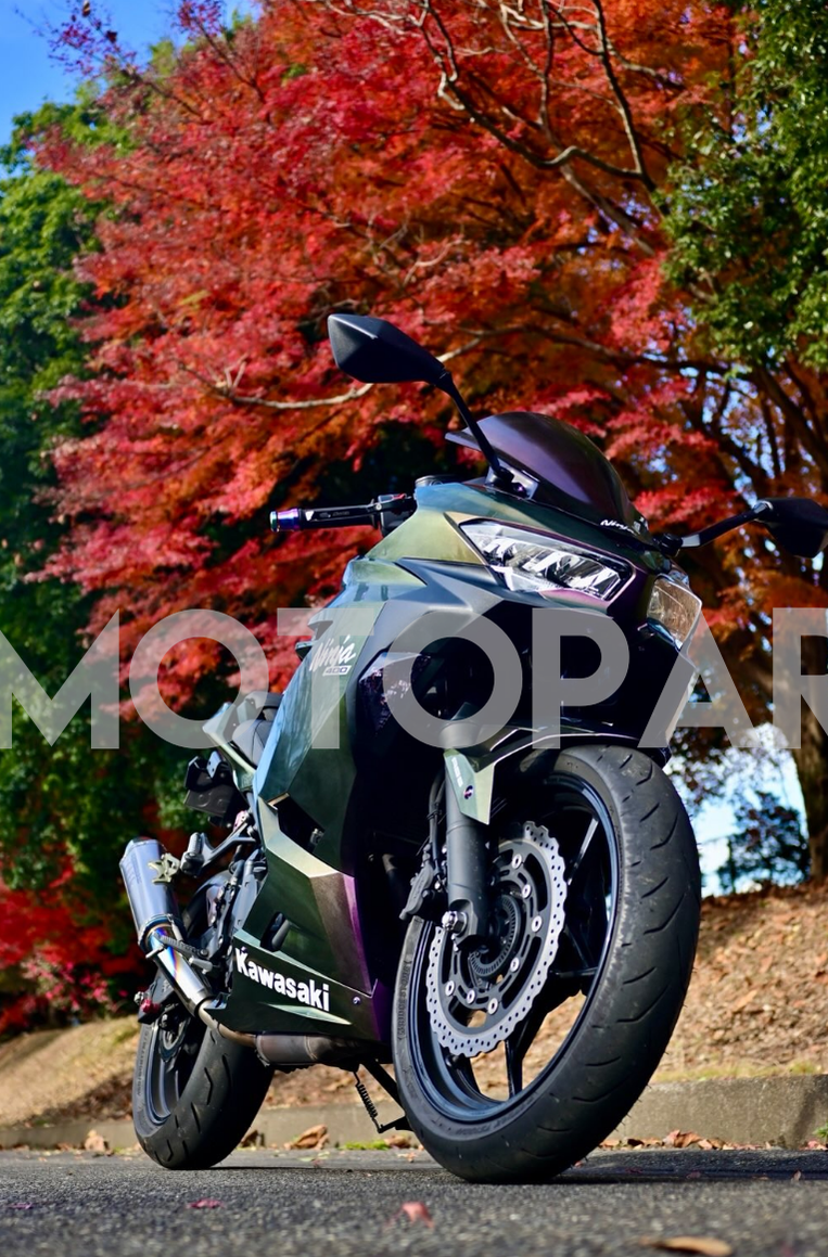Amotopart  Kawasaki EX400/Ninja400 2018-2024 Gradient Purple & Green Fairing Kit