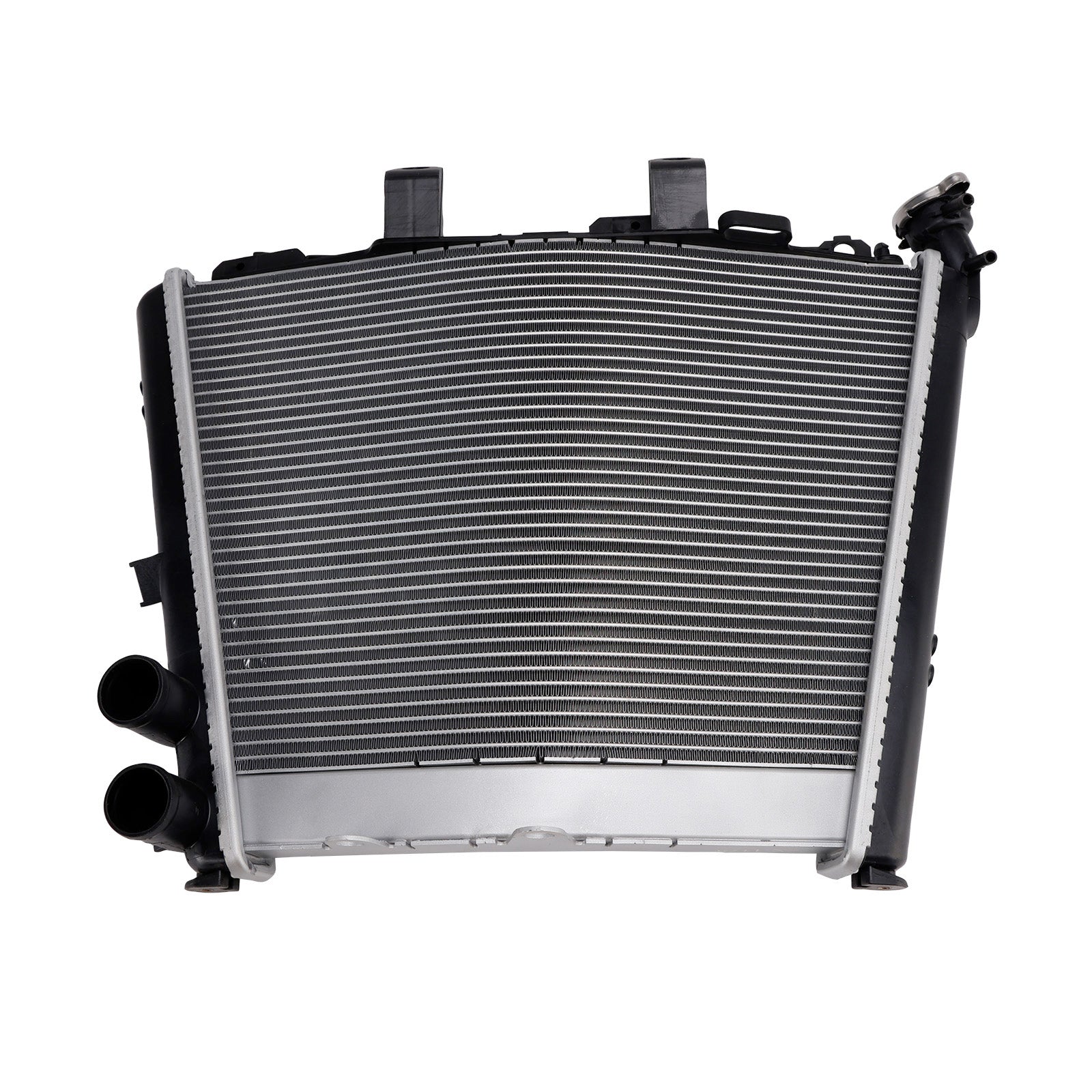 2019-2025 BMW S1000R M1000RR S1000RRNRadiator Cooling Engine Cooler