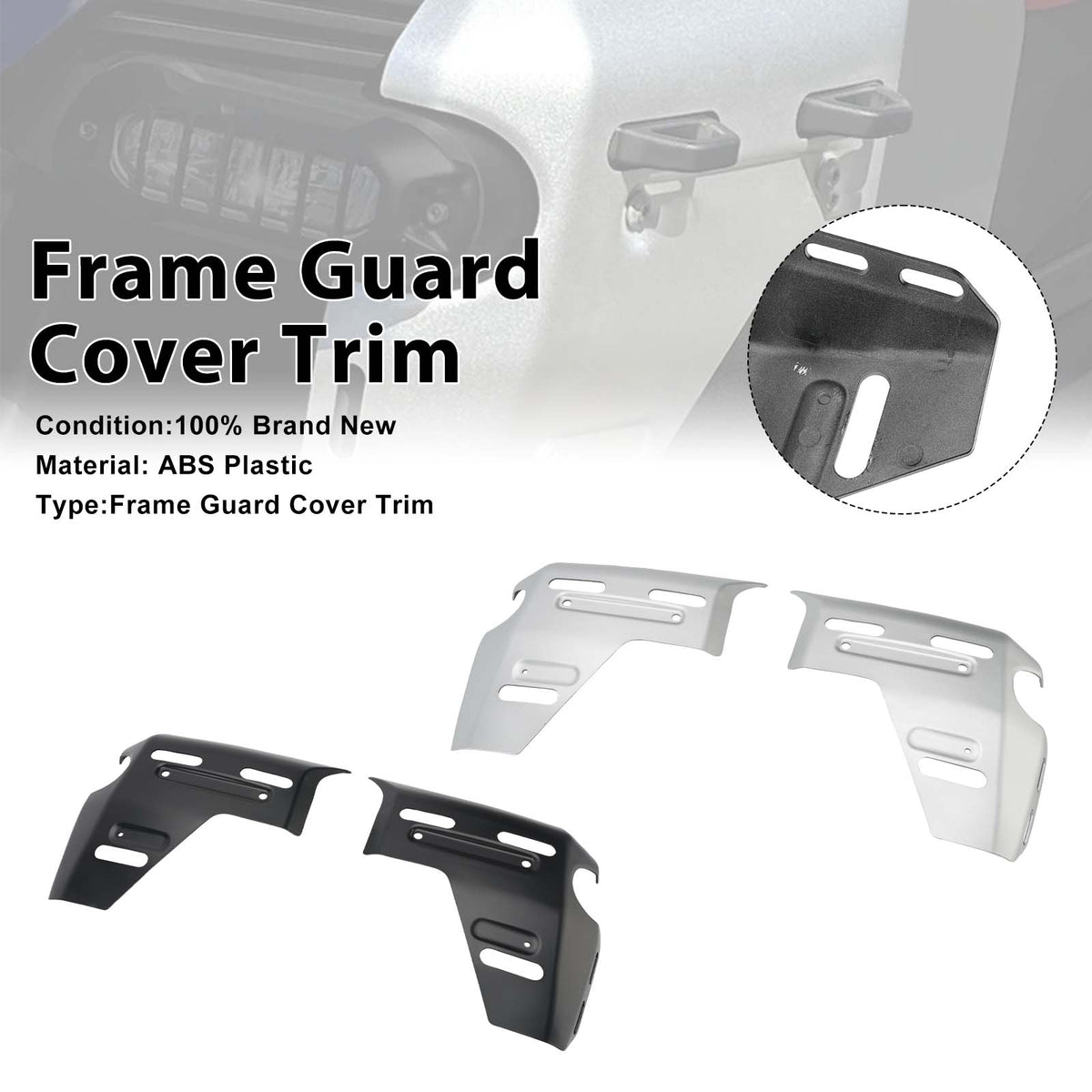 2025-2026 BMW R1300GS Adv Frame Guard Side Cover Fairing
