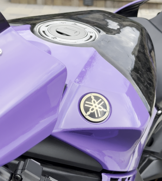 ACZ-Ailettes de carénage de moto, couvercle ABS, protection aérodynamique  avant, garde pour YAMAHA YZF R15 V4 2021-2023 R15M