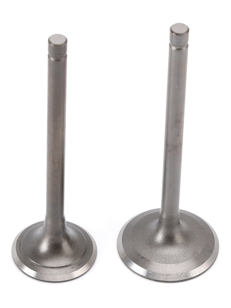 2008-2013 Yamaha YFM250R Raptor / 2001-2021 TW200 Trailway Intake & Exhaust Valve