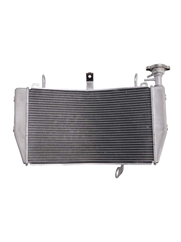 2015-2021 Ducati Monster 1200 2014-21 821 Radiator Cooler Cooling
