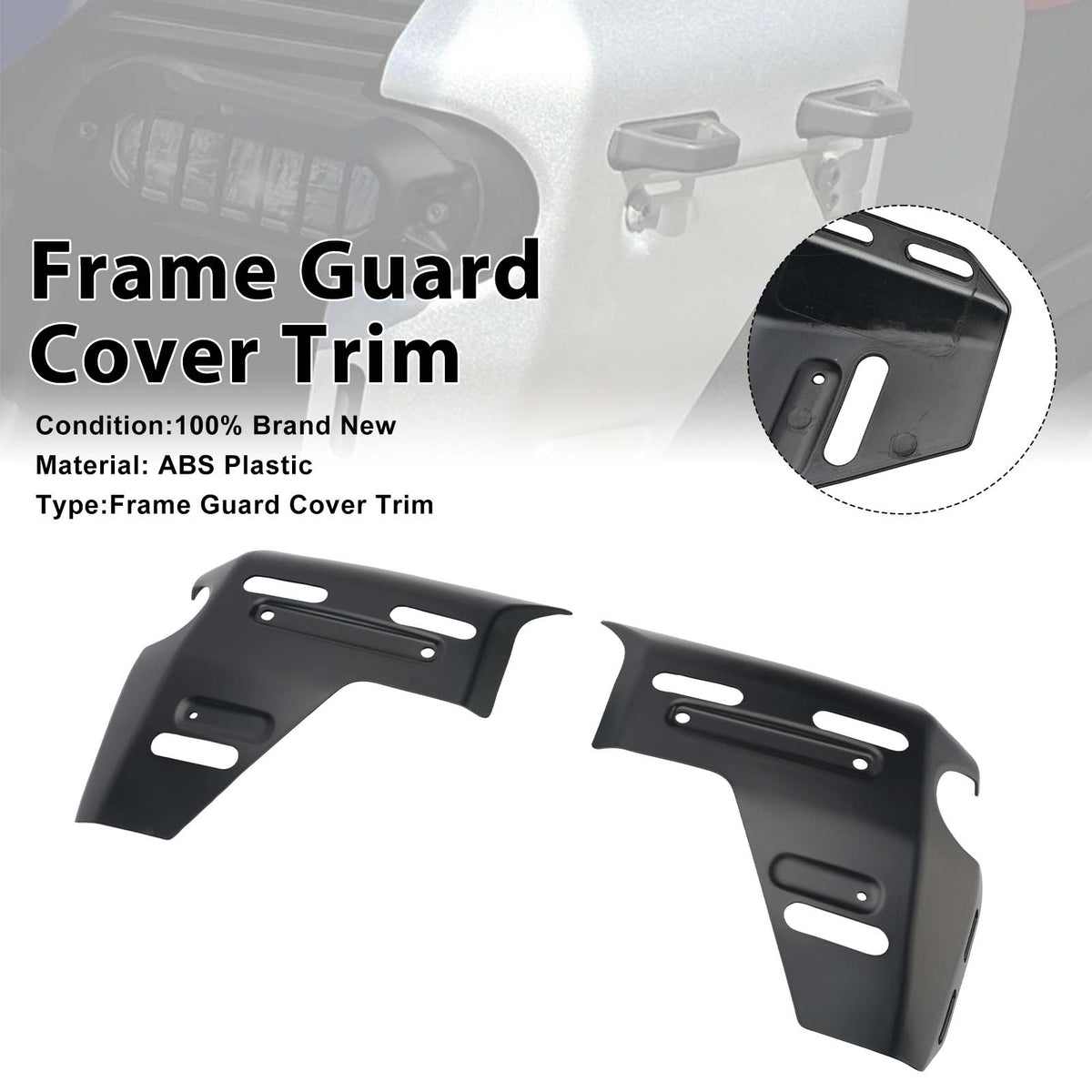 2025-2026 BMW R1300GS Adv Frame Guard Side Cover Fairing