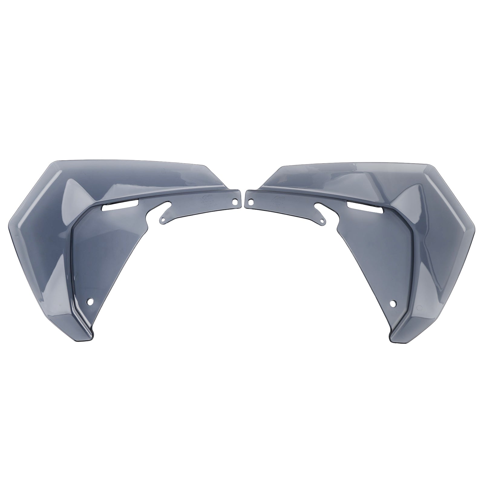 2025-2026 BMW R1300GS ADV Windshield Plate Side Panels