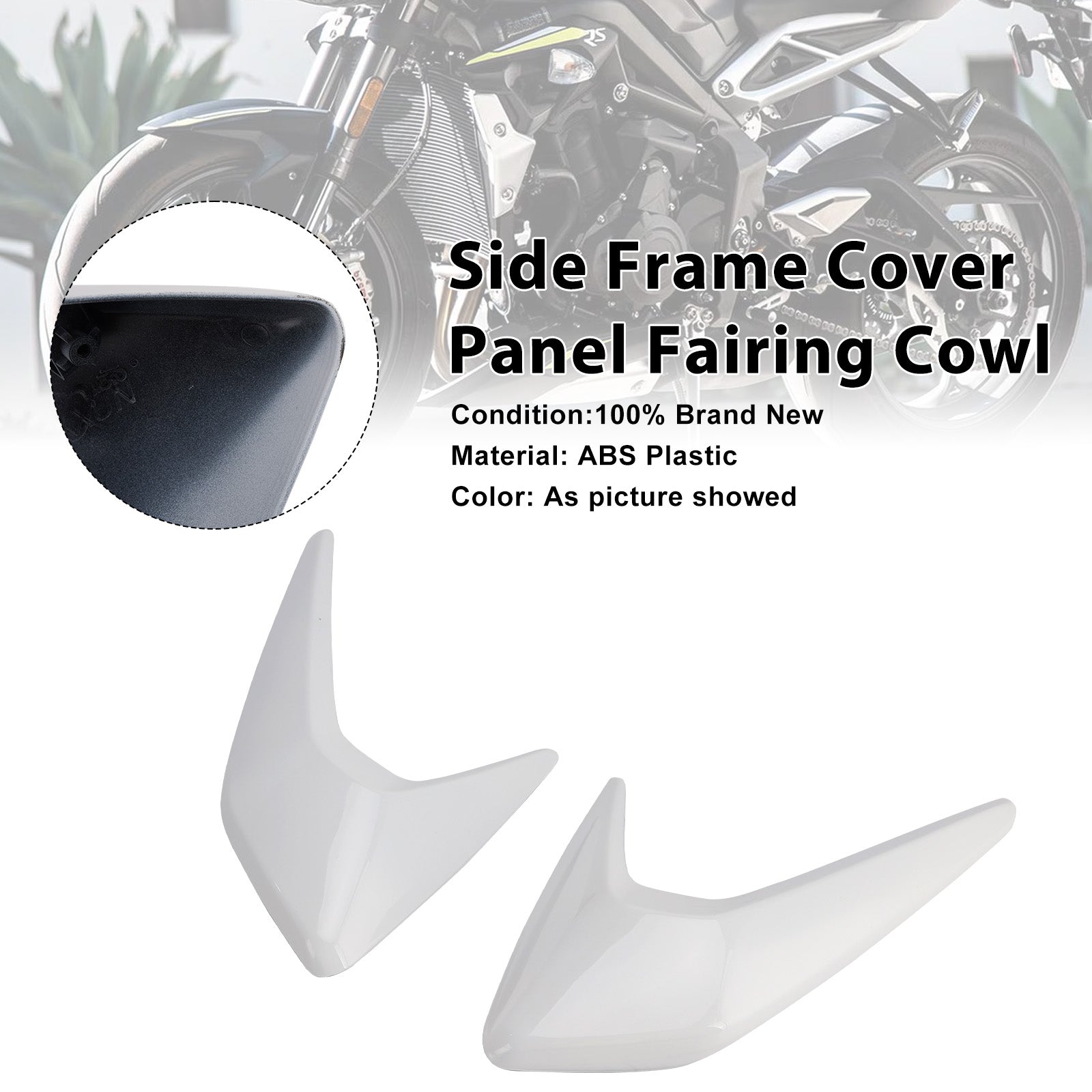 Street Triple 765 R/RS 2020-2022 Side Frame Cover Panel Fairing