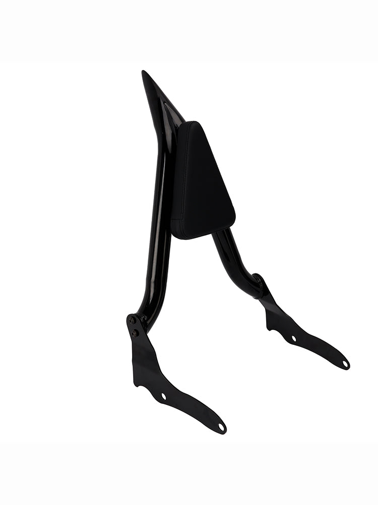 2014-2024 Yamaha Bolt XV950 XVS950 RASSY BAR BOINST