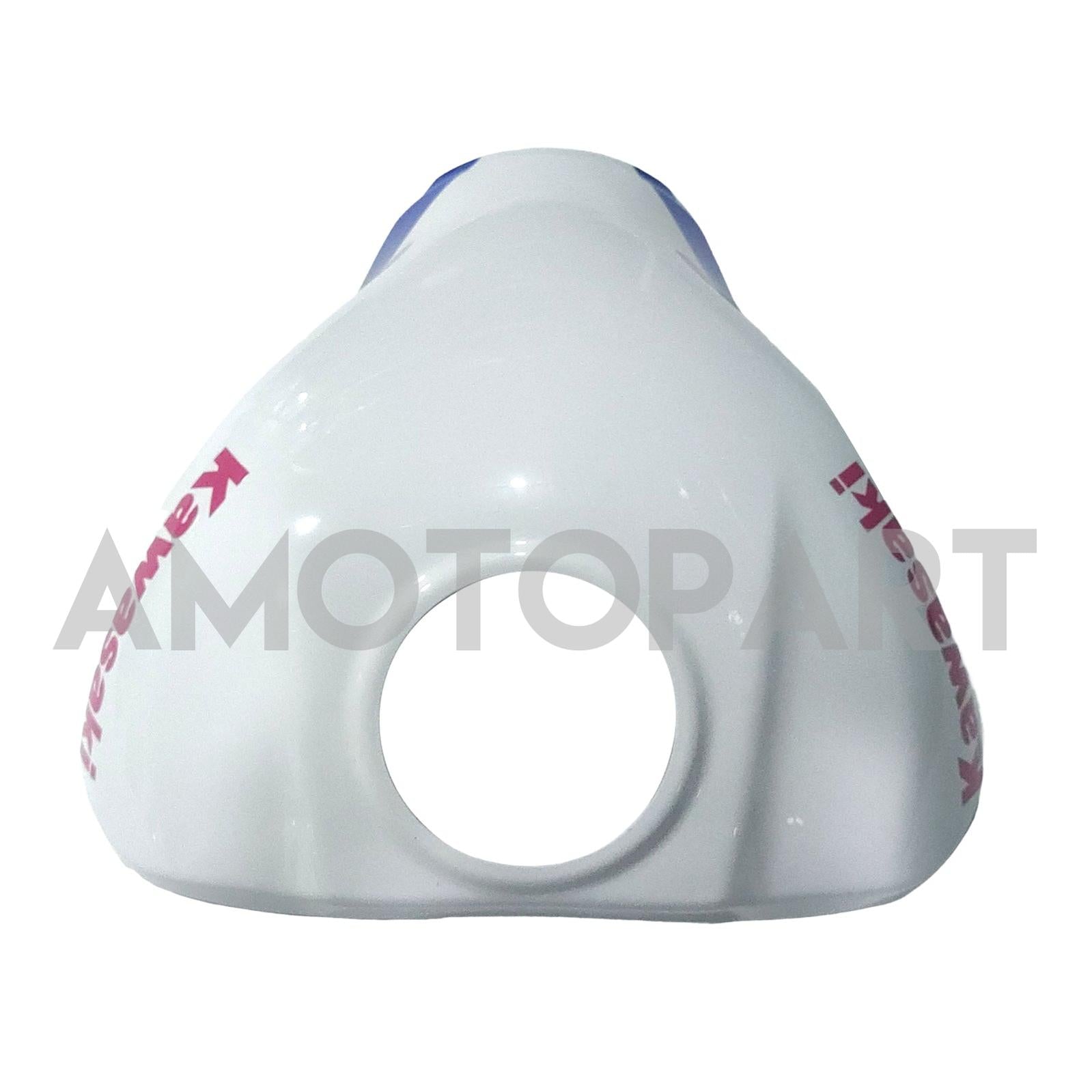 Amotopart 2021-2025 Kawasaki ZX 10RR ZX 10R White Green Blue Blue Verkellung