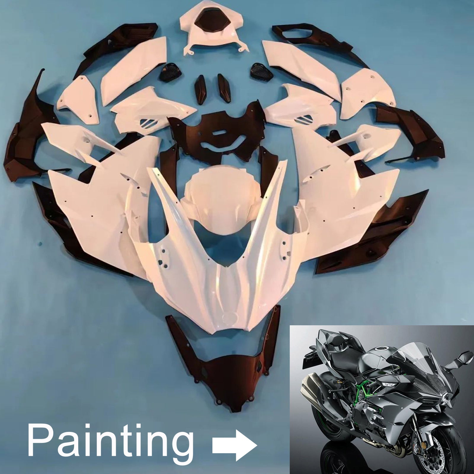 Amotopart 2015-2022 Kawasaki Ninja H2 Gray Fairing Kit