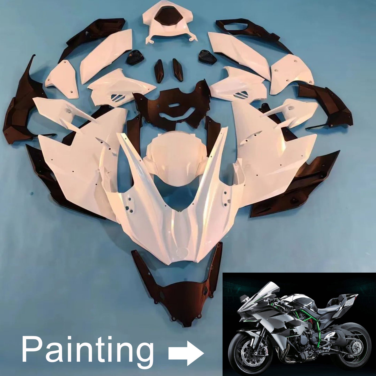 Amotopart 2015-2025 Kawasaki Ninja H2 Grey&Sliver Fairing Kit