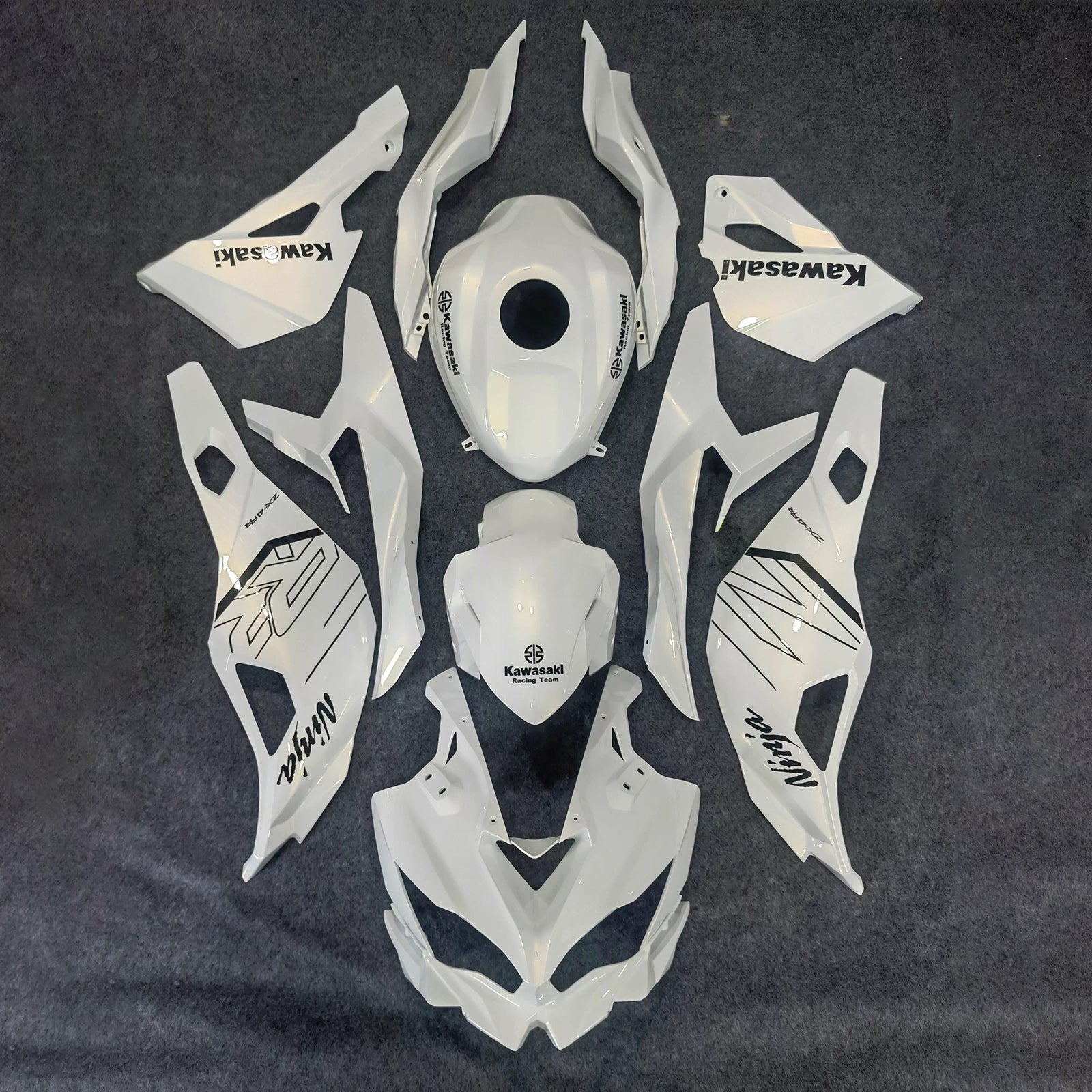 Amotopart 2019-2022 Kawasaki Ninja ZX-25R 2023-2025 Kawasaki Ninja ZX-4R/ZX-4RR White & Black Fairing Kit