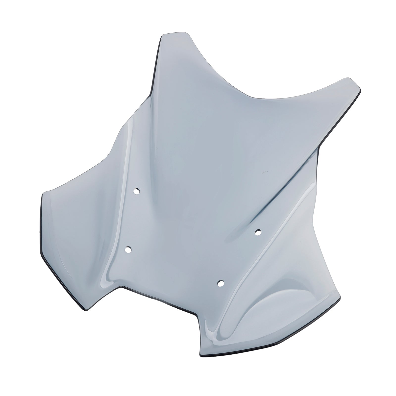 2024 BMW R1300GS forrude forrude