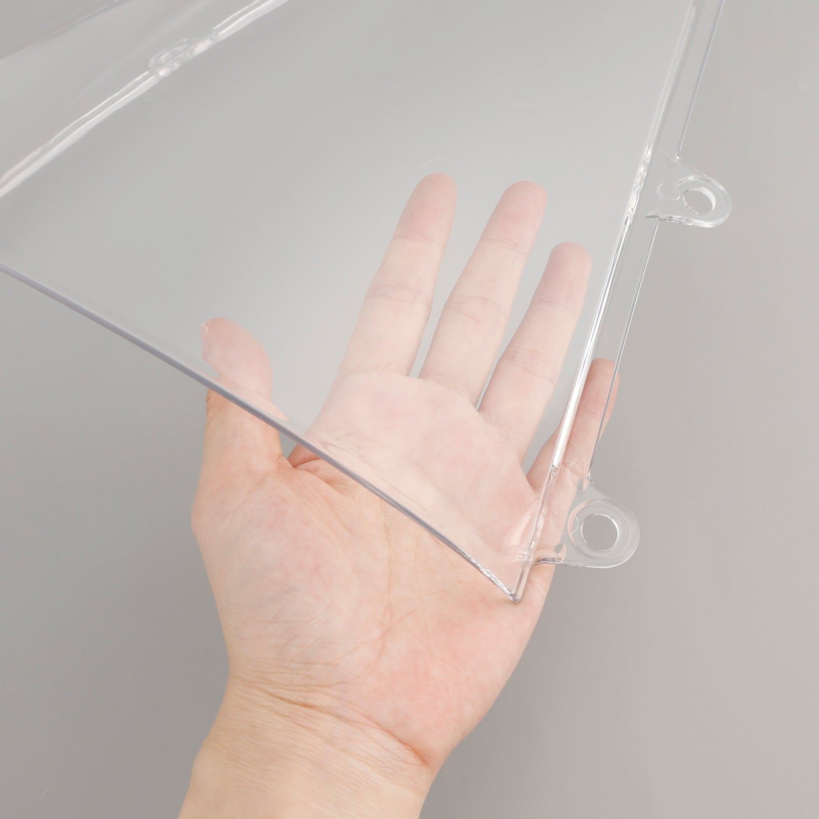 2019-2024 Honda CBR650R Wantedshield Wandscreen