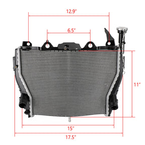 Raffreddamento del dispositivo di raffreddamento del radiatore del motore adatto per BMW S1000RR 2009-2019