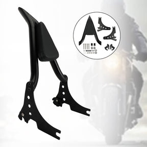 Dossier passager adapté pour Sportster XL883 C/R XL1200R XLH883 XLH1200 04-20