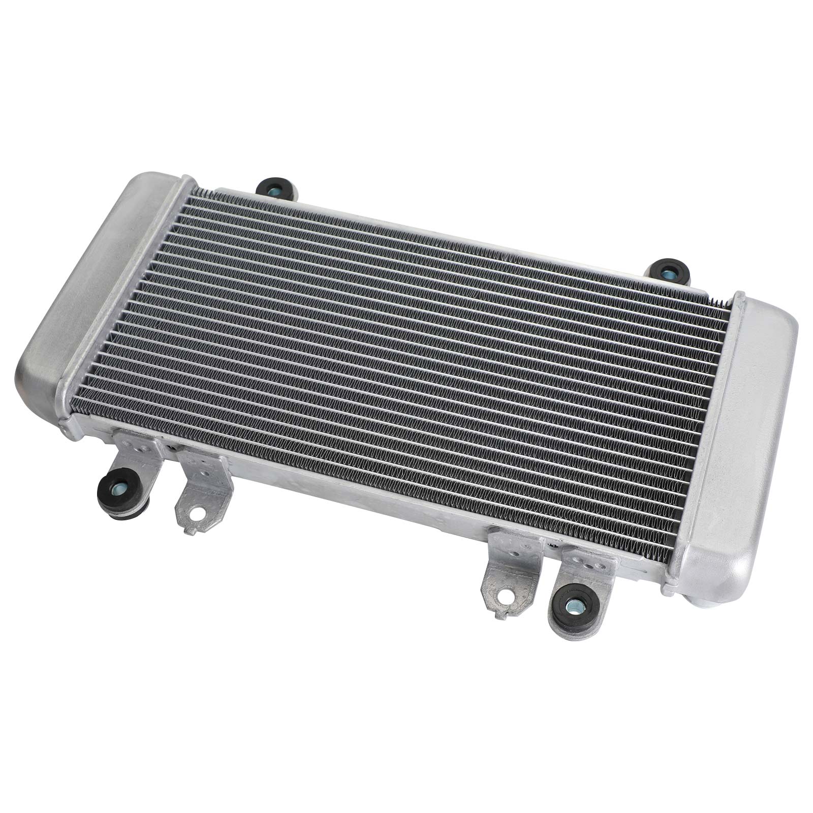 Radiateur garde refroidisseur refroidissement pour KAWASAKI NINJA 300 EX300 EX 300 2013-2017 générique