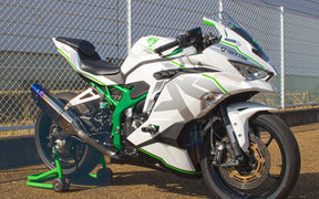 Amotopart 2019-2024 Kawasaki Ninja ZX25R ZX4R ZX4RR Weißes Verkleidungsset