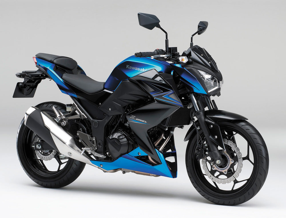 Amotopart Kawasaki 2015–2016 Z250/Z300 Blau Schwarz Verkleidungsset